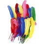 Federn - gemischte Farben - 36 Stk
