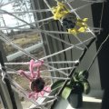 Kundenbild Tolles Hobby