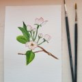 Kundenbild Synthetisches Pinselset W&N Foundation Aquarell - Nr. 15
