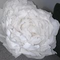 Kundenbild Krepppapier 50 x 250 cm - weiß