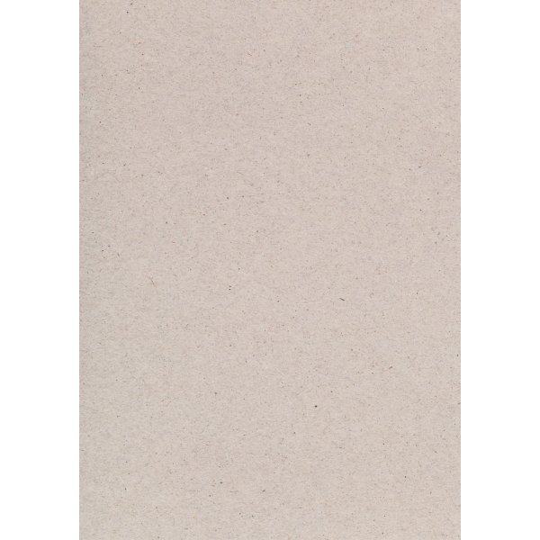 Karton natur A4 220 g