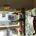 Kundenbild Wachsplatten