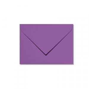 Pollen 75x100 - 20er-Pack - Intensives Lila Pollen 75x100 - 20er-Pack - Intensives Lila