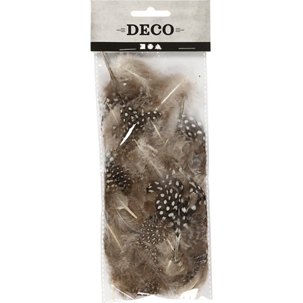 Perlhuhnfedern - braun - 3 g Perlhuhnfedern - braun - 3 g