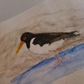 Kundenbild Aquarellstift Albrecht D�rer - 132 Helles Fleisch
