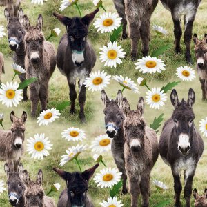 Gemustertes Trikot 150 cm - Donkey Joe Gemustertes Trikot 150 cm - Donkey Joe