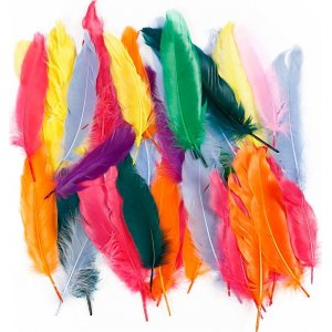Federn - gemischte Farben - 350 Stk Federn - gemischte Farben - 350 Stk