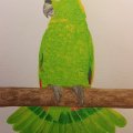 Kundenbild Aquarellblock, geklebte kaltgepresste Bögen, 300 g - A4