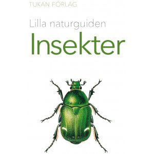 Kleiner Naturführer: Insekten Kleiner Naturführer: Insekten