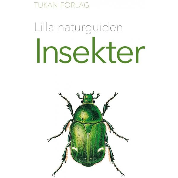 Kleiner Naturfhrer: Insekten