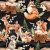 Gemustertes Trikot 150 cm - Maiglöckchen, Bambi, Fuchs Schwarz Gemustertes Trikot 150 cm - Maiglöckchen, Bambi, Fuchs Schwarz