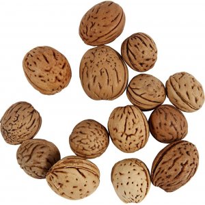 Nüsse - 25 g Nüsse - 25 g