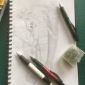 Kundenbild Natürlicher Pilz
