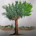 Kundenbild Aquarellkasten L&B aus Metall - 12 Tassen