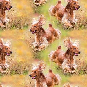 Gemustertes Trikot 150 cm - Cocker Spaniel Gemustertes Trikot 150 cm - Cocker Spaniel