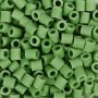 NABBI BioBeads - grn - mittel - 3000 Stk