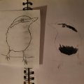 Kundenbild Transparentpapier - A4 - 100 Seiten