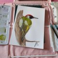 Kundenbild Marderhaarb�rste Aquafine 34 Round - Nr. 0