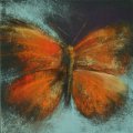 Kundenbild Soft Pastel Portrait - 90 Stk