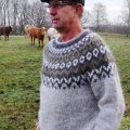 Kundenbild Lett-lopi 50g - Hellgrau