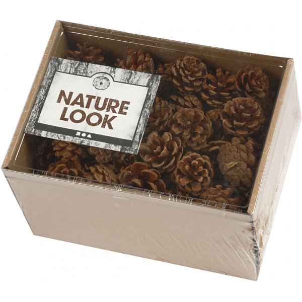 Tannenzapfen - 500 g Tannenzapfen - 500 g