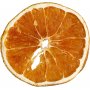 Orangenscheiben - 5 Stk