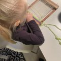 Kundenbild Das Handwerk des Webens