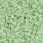 Rocailleperlen - zartgrn - 25 g