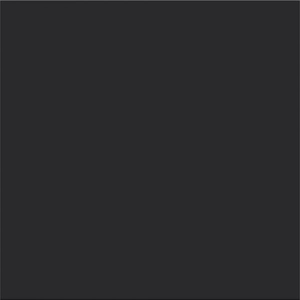 Malerfarbe - Schwarz - 250 ml