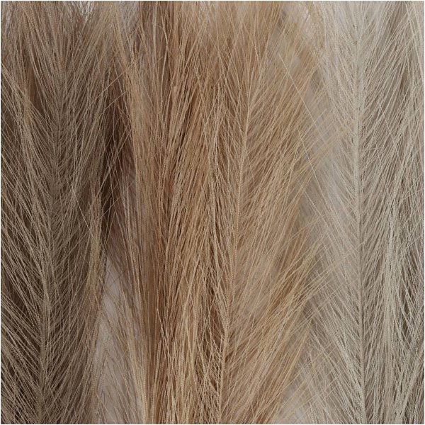 Pampasgras - Elfenbein - Hellbraun - Hellgrau - 3 Stk