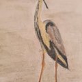 Kundenbild Aquarellstift Albrecht D�rer - 102 Creme