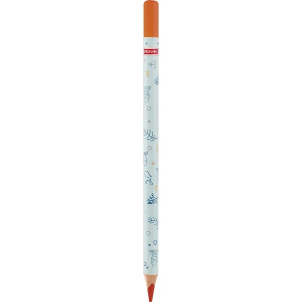 Jumbo-Buntstifte - 12 Stck