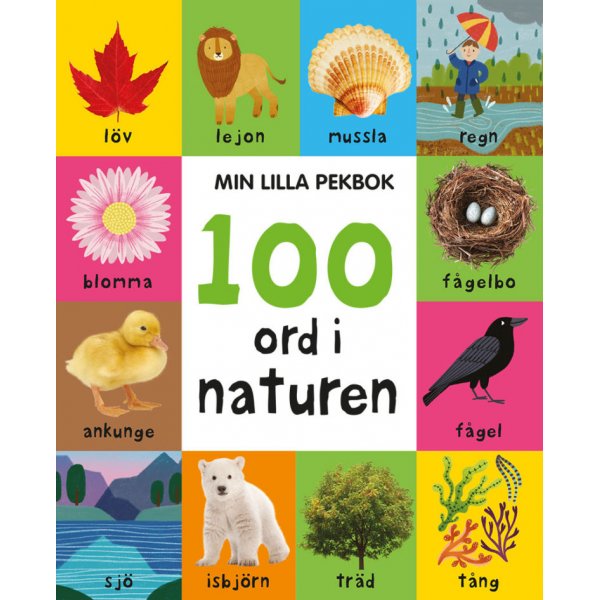Mein kleines Notizbuch: 100 Wrter in der Natur