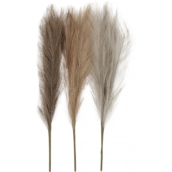 Pampasgras - Elfenbein - Hellbraun - Hellgrau - 3 Stk