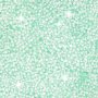 Foam Clay - hellgrn - Glitzer - 35 g