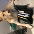 Kundenbild Federmäppchen Sensebag Copic - 72 Stifte