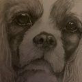 Kundenbild Copic Ciao 5+1 Set - Grautöne