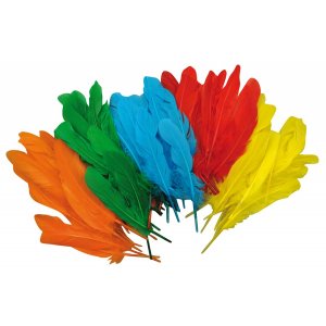 Federn - 120er-Pack Federn - 120er-Pack